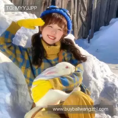 黄献崇